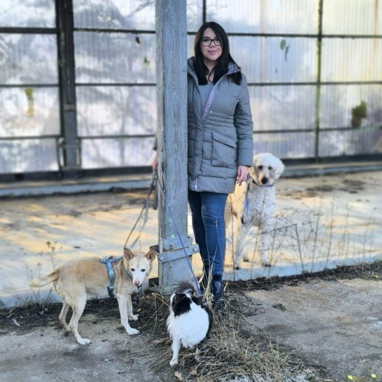 Hundetrainer mit 3 Hunden