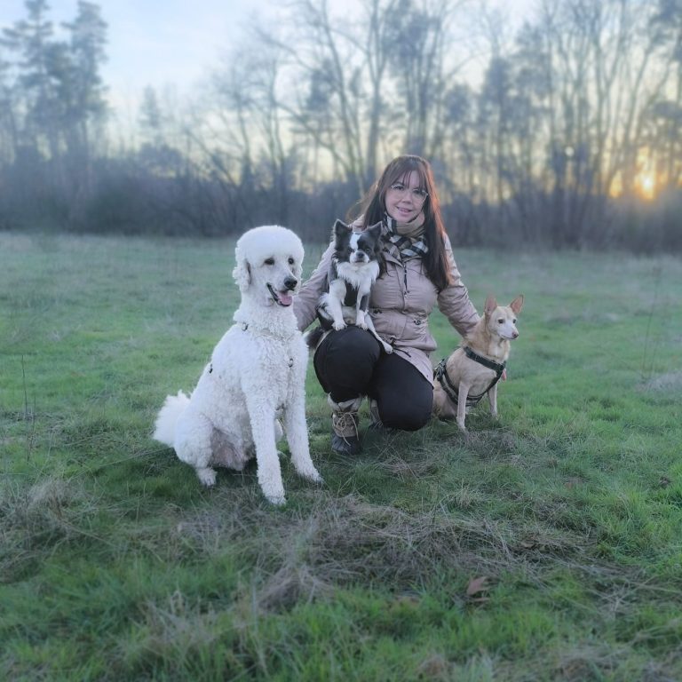Hundetrainerin Ina von der Hundeschule Stormydogs , mit ihren Familienhunden beim Training im Alltag in Lampertheim, nähe Bürstadt.