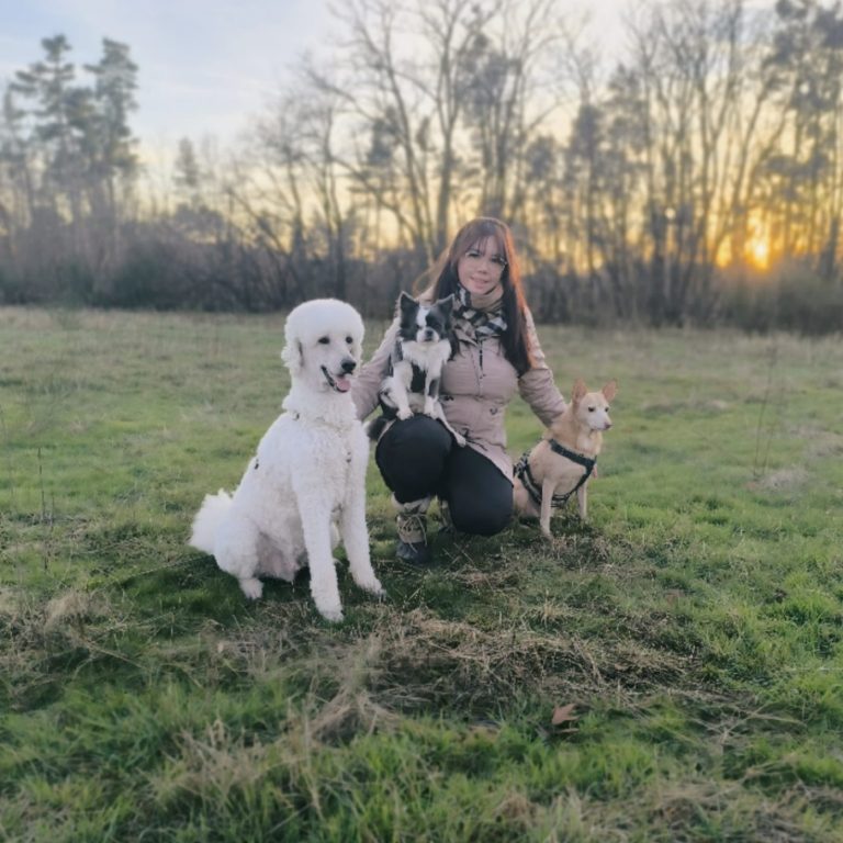 Hundeschule Lampertheim stormydogs