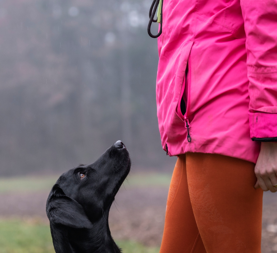 Impulskontrolle und Frustrationstoleranz Leckerlibeutel